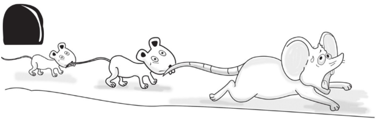 趣味生物科普知识：动物为什么对地震有异常反应