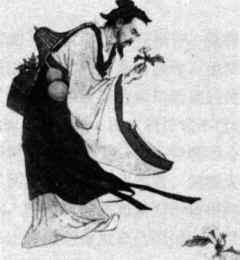 现代用的麻药是华佗发明的吗?插图1 现代用的麻药是华佗发明的吗?