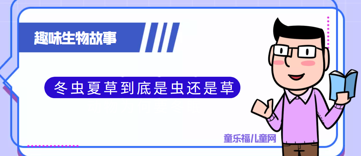 趣味生物科普知识:冬虫夏草到底是虫还是草插图 趣味生物科普知识:冬虫夏草到底是虫还是草
