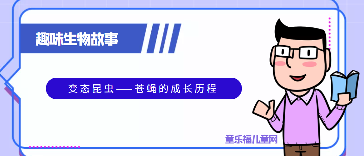 趣味生物科普知识：变态昆虫——苍蝇的成长历程