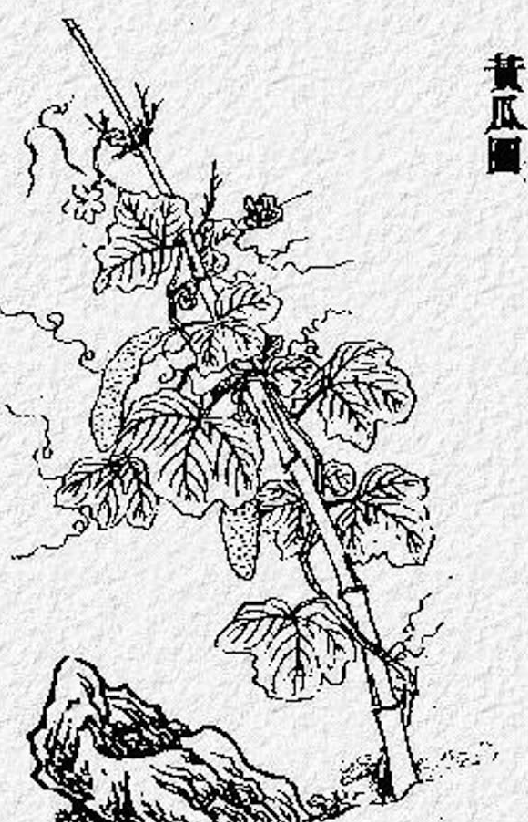 中国古代科学家的故事:氾胜之科学种田插图1 中国古代科学家的故事:氾胜之科学种田