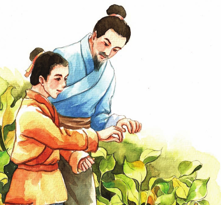 中国名人故事：种田读书的徐光启