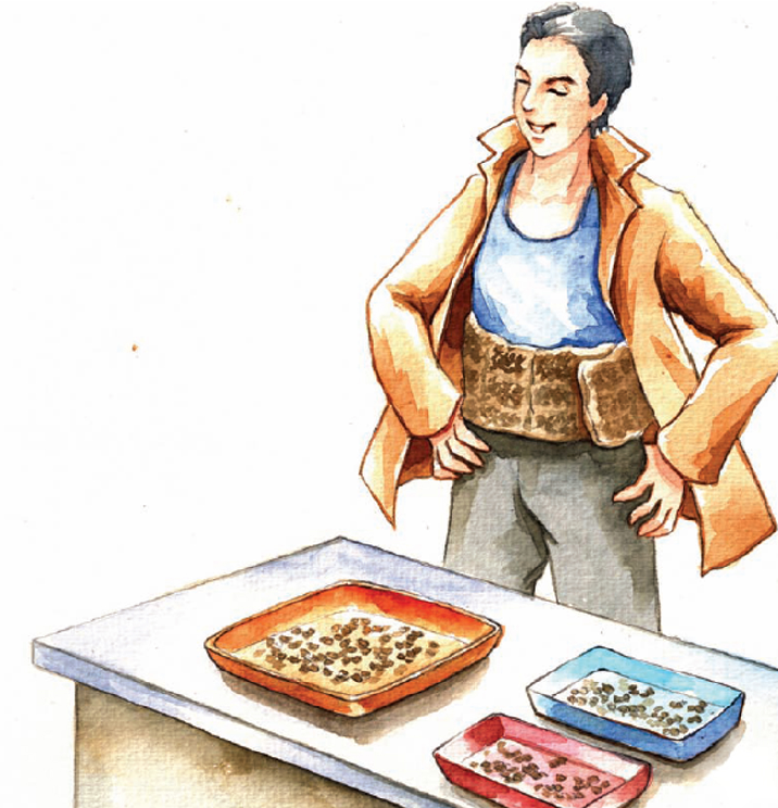 中国名人故事:让饥饿远离中国的袁隆平插图 中国名人故事:让饥饿远离中国的袁隆平