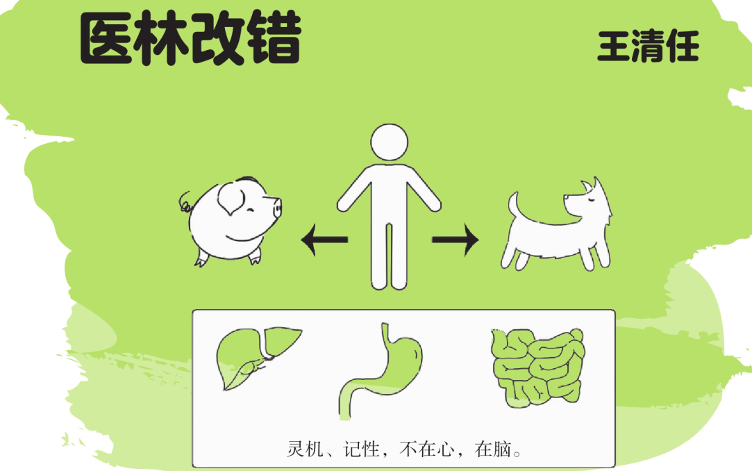 中国名人故事:医林改错——王清任的故事插图 中国名人故事:医林改错——王清任的故事