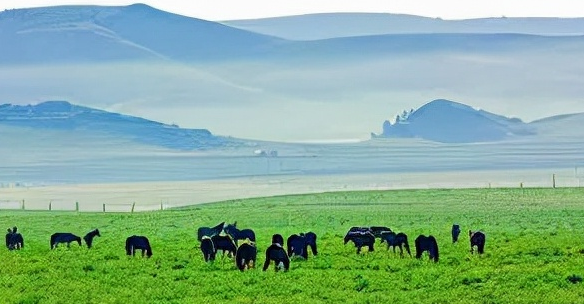 我国的四大高原是哪四个高原?其中黄土高原的范围占多少?插图2 我国的四大高原是哪四个高原?其中黄土高原的范围占多少?