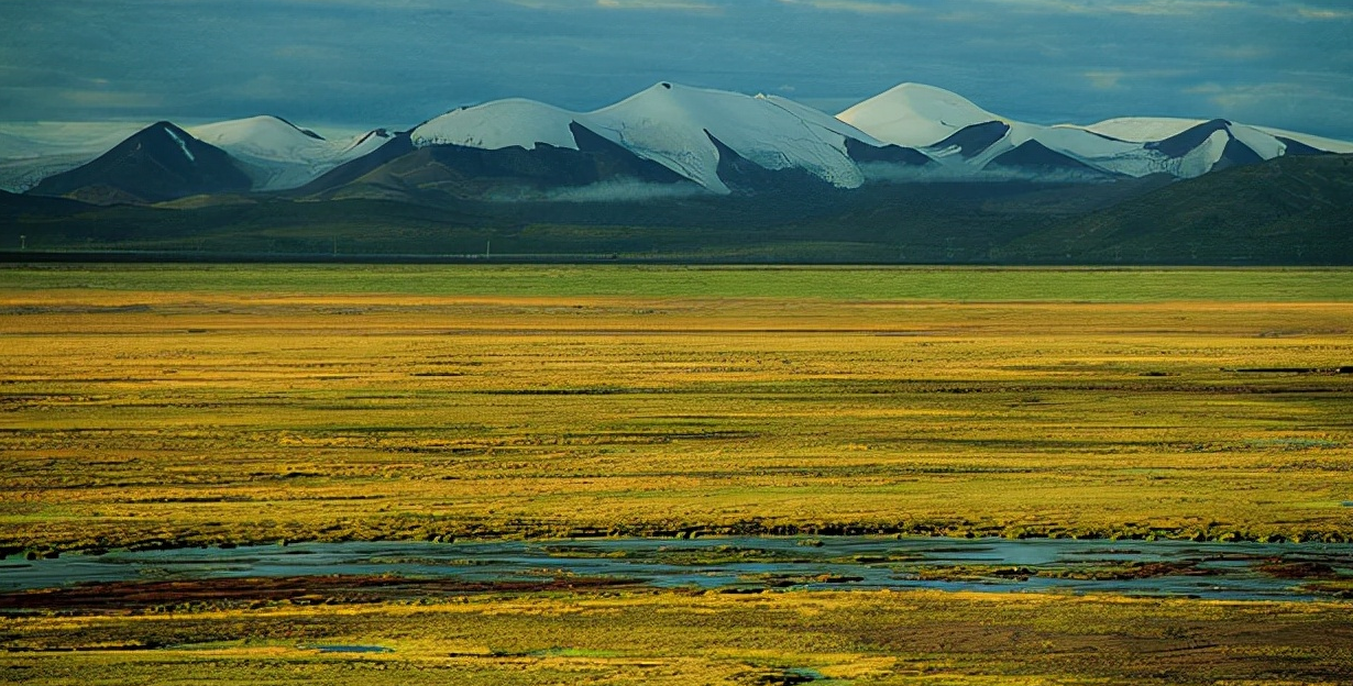 我国的四大高原是哪四个高原?其中黄土高原的范围占多少?插图 我国的四大高原是哪四个高原?其中黄土高原的范围占多少?
