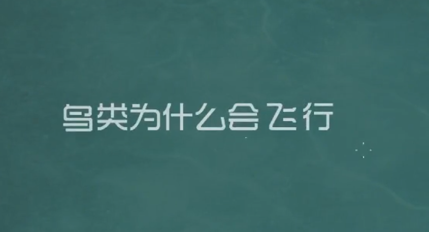 鸟为什么会飞的原因及原理