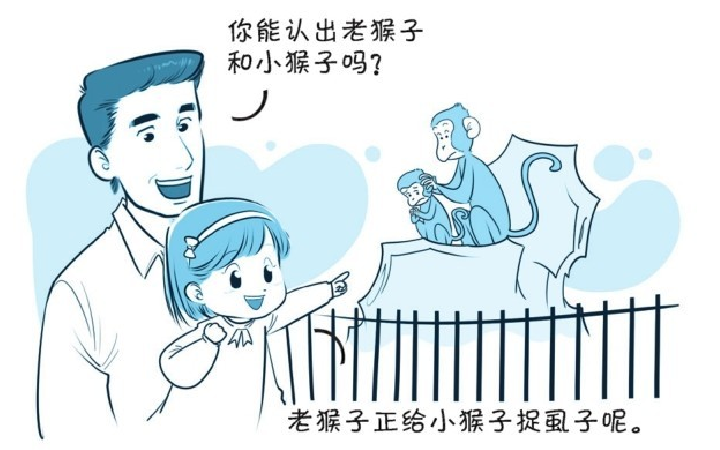 培养注意力的小游戏:动物园里认动物插图1 培养注意力的小游戏:动物园里认动物