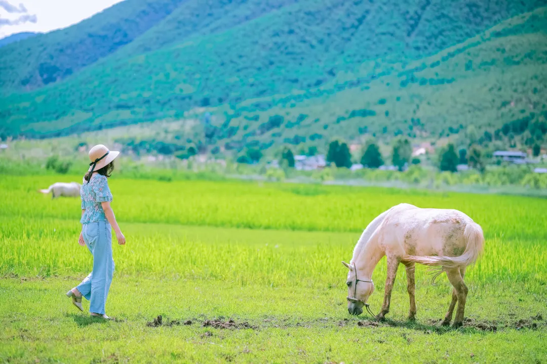 泸沽湖在哪里?醉美云南泸沽湖【云南亲子游】插图28 泸沽湖在哪里?醉美云南泸沽湖【云南亲子游】