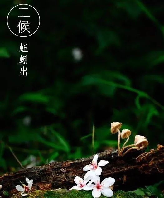 立夏是几月几日？二十四节气之立夏：连雨不知春去，一晴方觉夏来