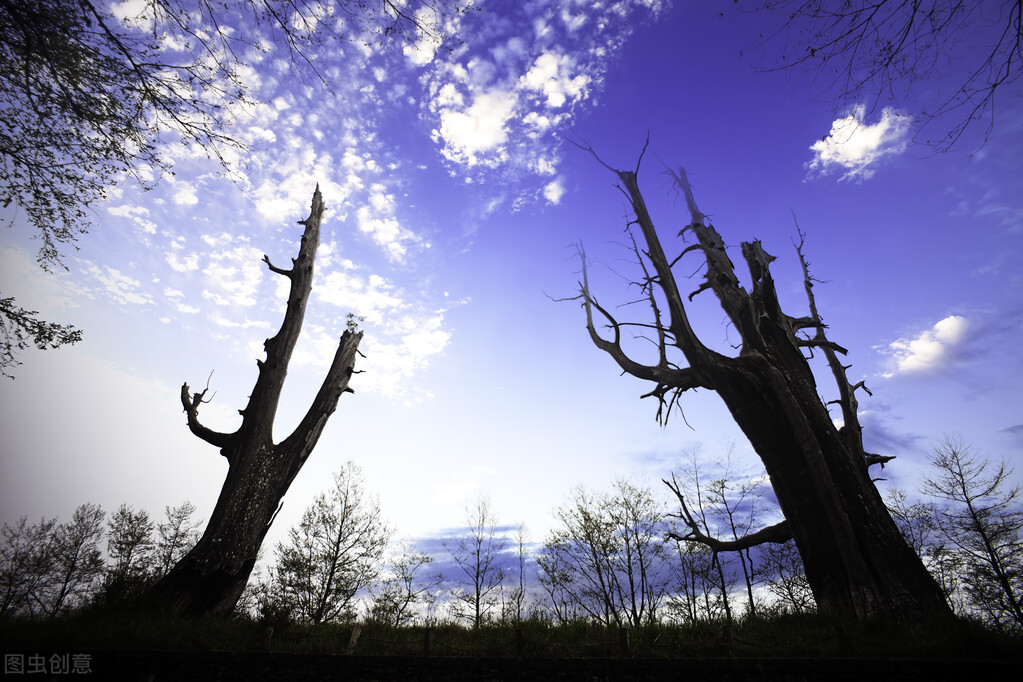 拉尼娜现象是什么意思？2021遭遇2次拉尼娜现象，专家警告：恐现极端天气