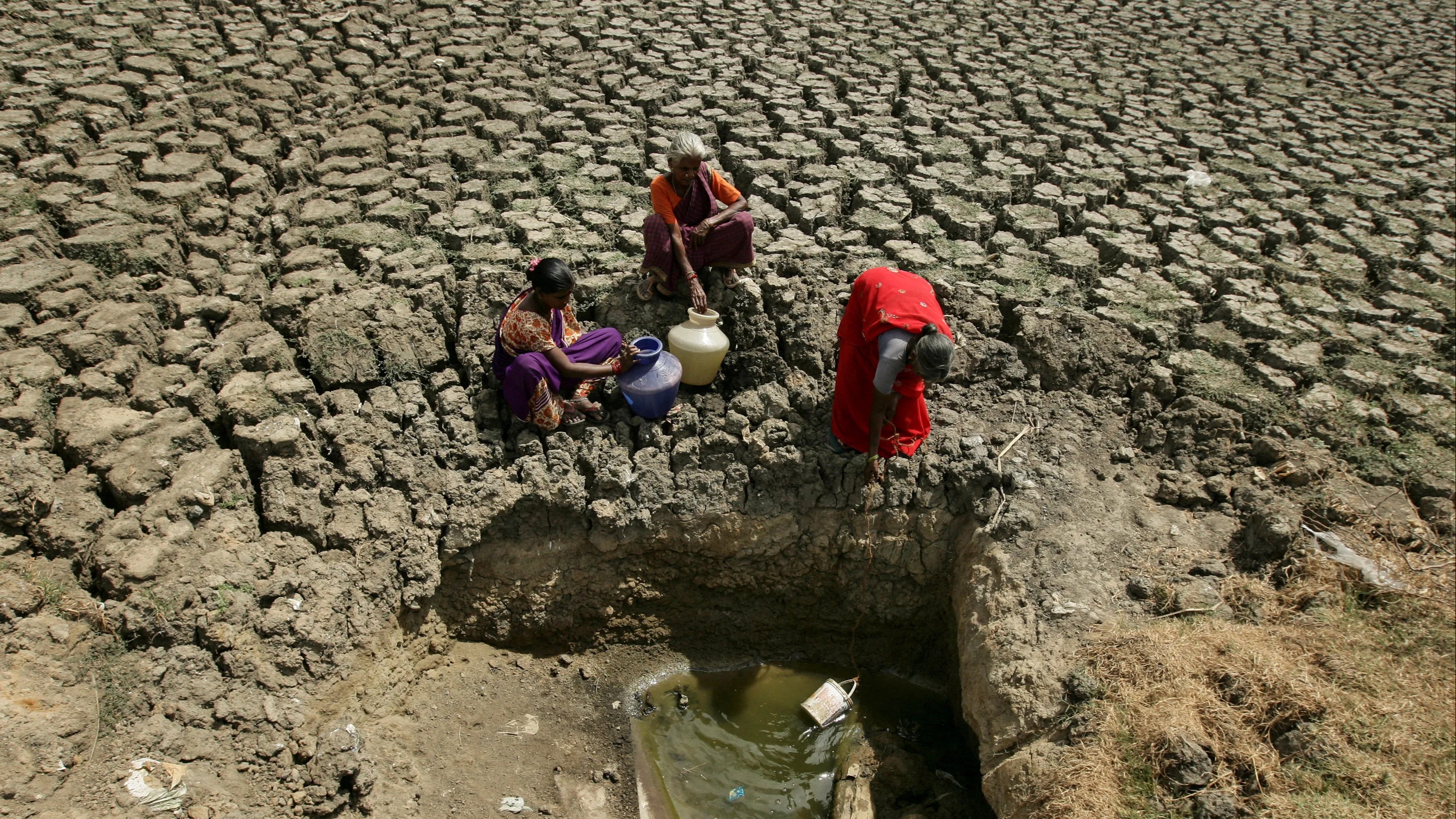 全球气候变暖的危害?我们又能做些什么?插图2 全球气候变暖的危害?我们又能做些什么?