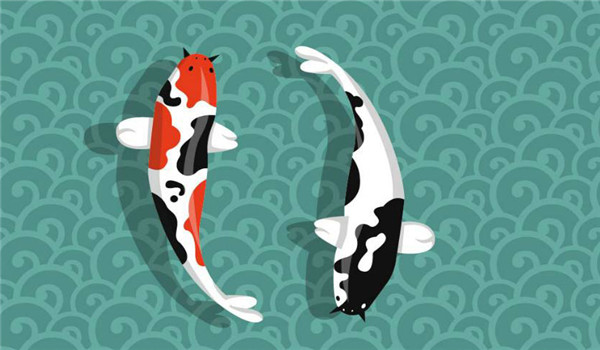 如鱼得水的意思是什么，出处哪里？