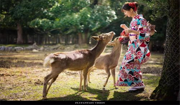 各得其所的意思和造句示例