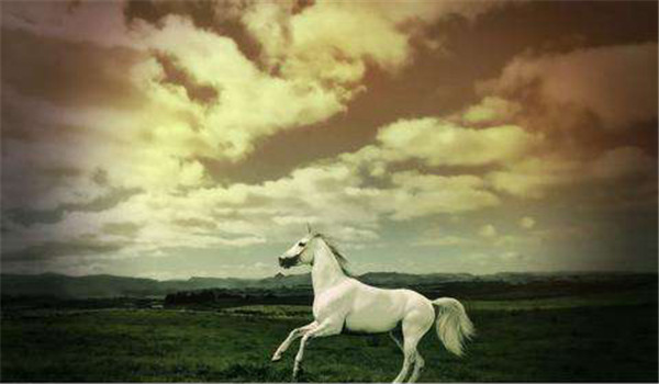 白驹过隙的意思是什么,出自哪里?插图1 白驹过隙的意思是什么,出自哪里?