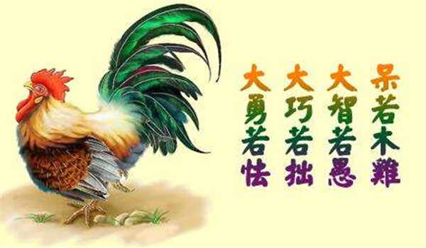 呆若木鸡的意思是什么，成语呆若木鸡的故事