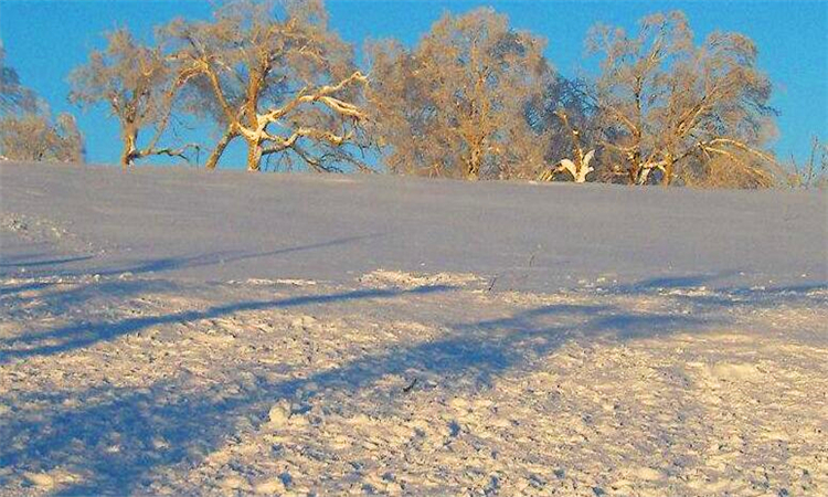 东北三省是哪三省?东北三省的来历插图1 东北三省是哪三省?东北三省的来历