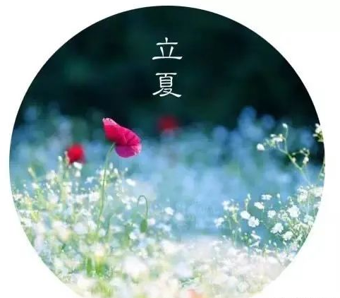 立夏是几月几日?二十四节气之立夏:连雨不知春去,一晴方觉夏来