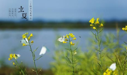 立夏风俗是什么?盘点各地立夏风俗习惯插图1 立夏风俗是什么?盘点各地立夏风俗习惯