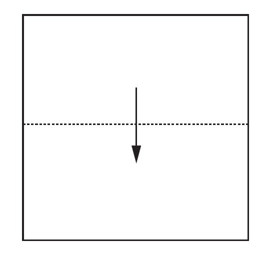 小龙虾折纸教程：小龙虾怎么折？（可爱小龙虾折纸）