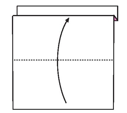 仙人掌折纸教程:仙人掌怎么折?(盆栽仙人掌折纸)插图5 仙人掌折纸教程:仙人掌怎么折?(盆栽仙人掌折纸)