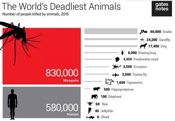 蚊子有牙齿吗？蚊子有几颗牙？