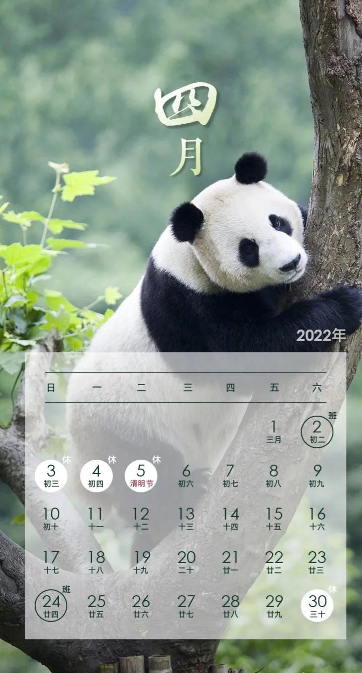 今年过年是几号(附2022年假期出来了)插图4 今年过年是几号(附2022年假期出来了)