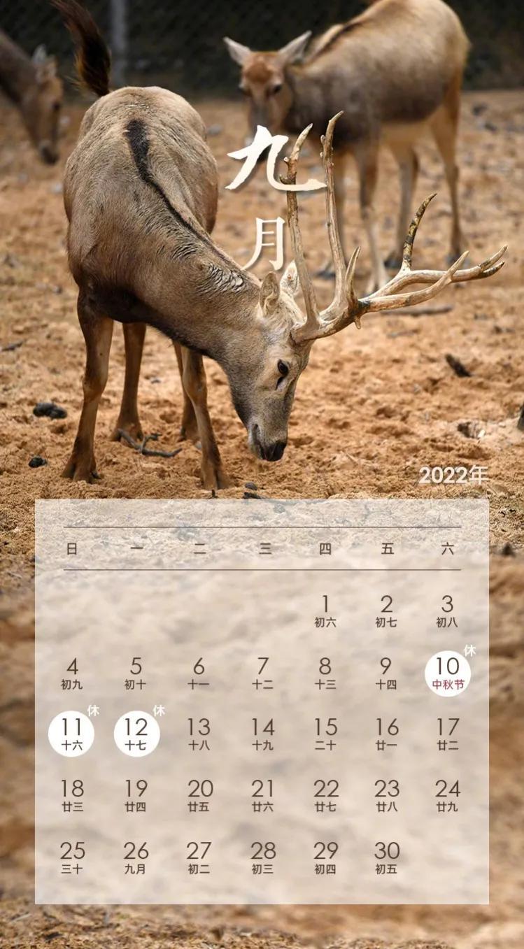 今年过年是几号(附2022年假期出来了)插图9 今年过年是几号(附2022年假期出来了)