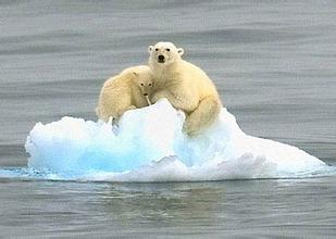 相比工业化前全球平均温度上升了多少摄氏度?(全球气候变暖的原因)插图1 相比工业化前全球平均温度上升了多少摄氏度?(全球气候变暖的原因)