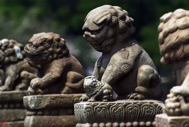 为什么银行等金融机构门口不放财神爷,而是放着两尊石狮子?(石狮子的作用与用途)插图5 为什么银行等金融机构门口不放财神爷,而是放着两尊石狮子?(石狮子的作用与用途)