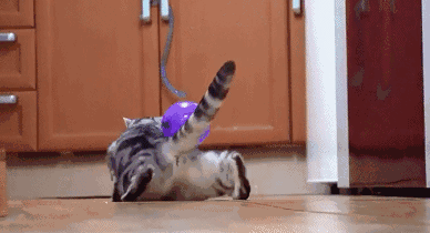 静电是怎么产生的?静电的危害有哪些?插图5 静电是怎么产生的?静电的危害有哪些?