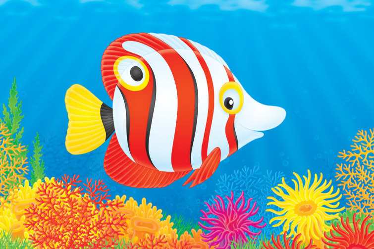 热带鱼为什么是五颜六色的?插图5 热带鱼为什么是五颜六色的?