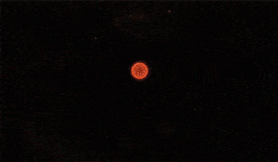 天关客星的详细记载