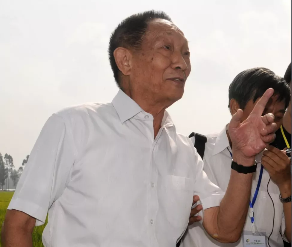 ​“杂交水稻之父”袁隆平逝世，享年91岁