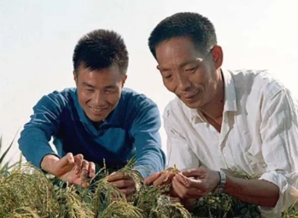 杂交水稻之父袁隆平逝世，享年91岁