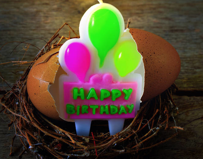 为什么小孩子过生日要吃红鸡蛋？（过生日红鸡蛋代表什么意思）