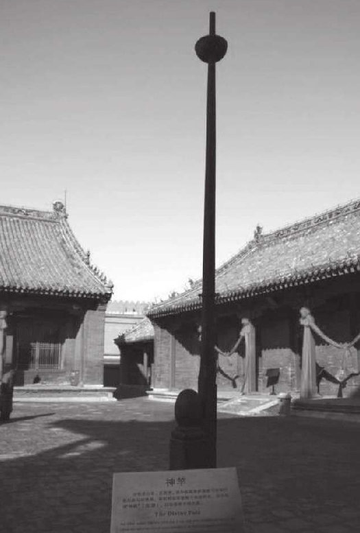 乌鸦喝水、乌鸦反哺的故事常常被人所称道,为何乌鸦却又被认为是不祥之鸟?插图1 乌鸦喝水、乌鸦反哺的故事常常被人所称道,为何乌鸦却又被认为是不祥之鸟?