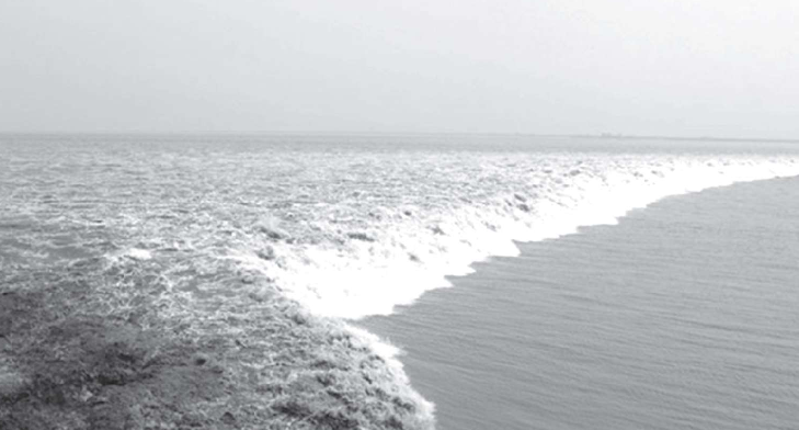 宋词赏析：弄潮儿向涛头立，手把红旗旗不湿——酒泉子·长忆观潮（弄潮儿的来历）