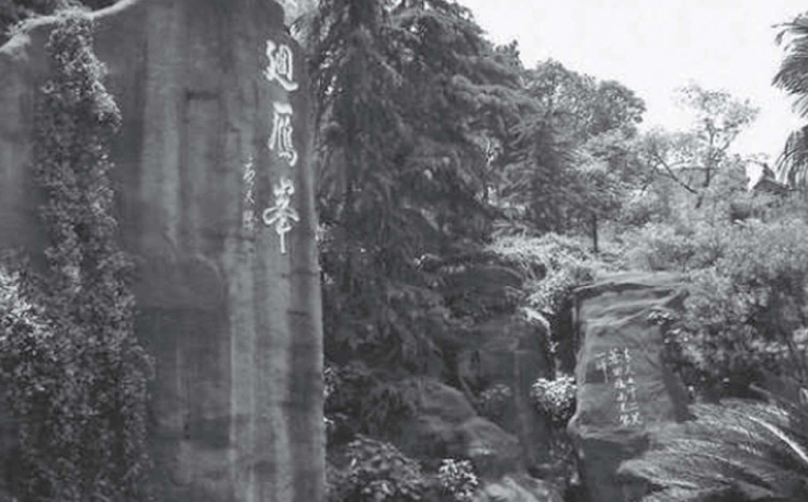 宋词赏析：人不寐，将军白发征夫泪——渔家傲·秋思