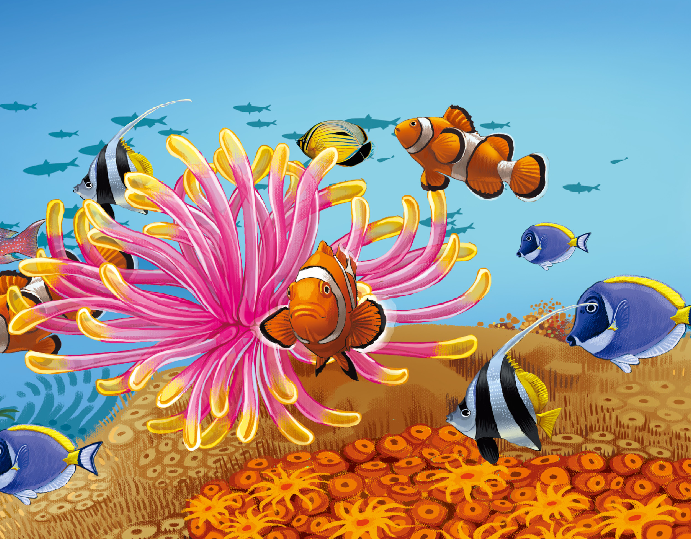 热带鱼为什么是五颜六色的?插图 热带鱼为什么是五颜六色的?
