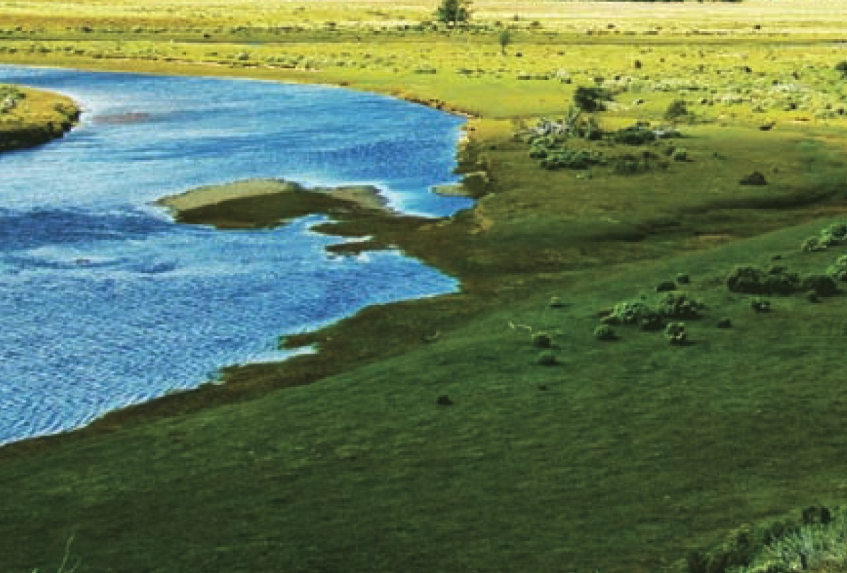 呼伦贝尔大草原插图 呼伦贝尔大草原