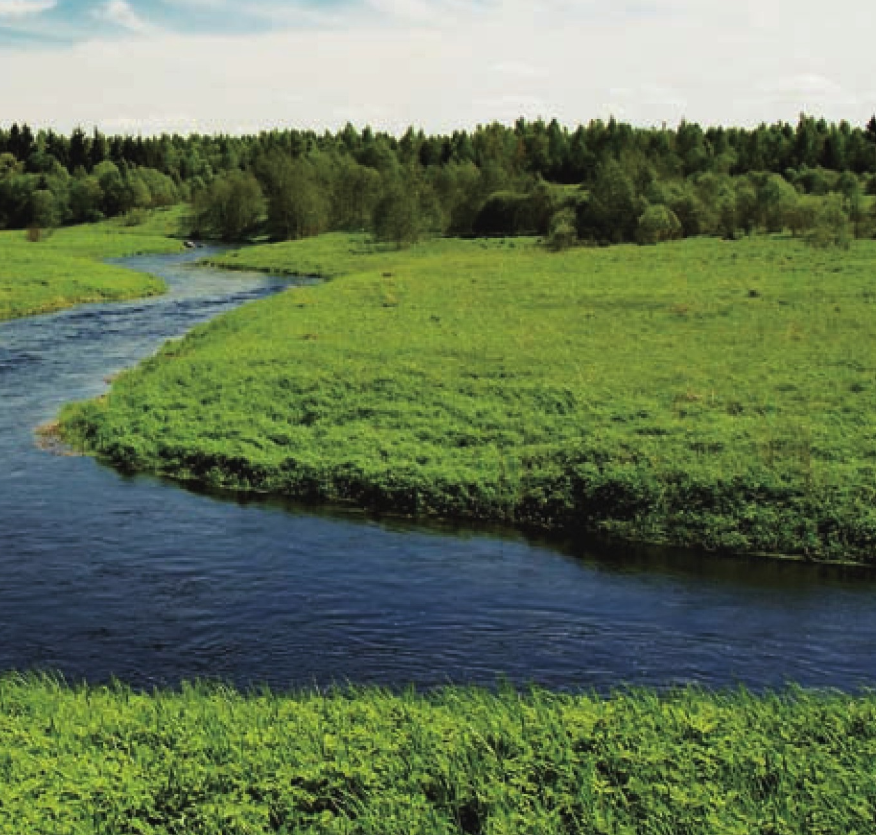 呼伦贝尔大草原插图2 呼伦贝尔大草原
