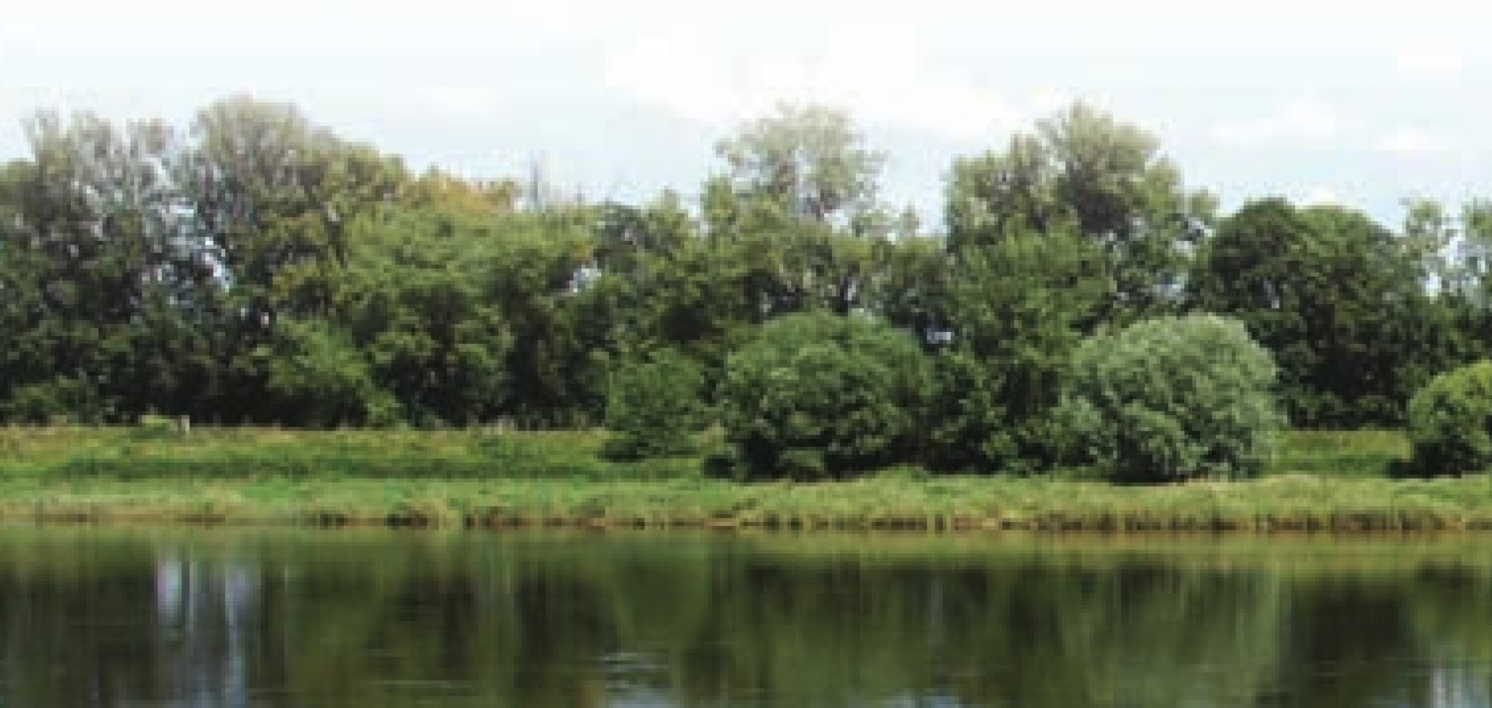 若尔盖大草原插图1 若尔盖大草原