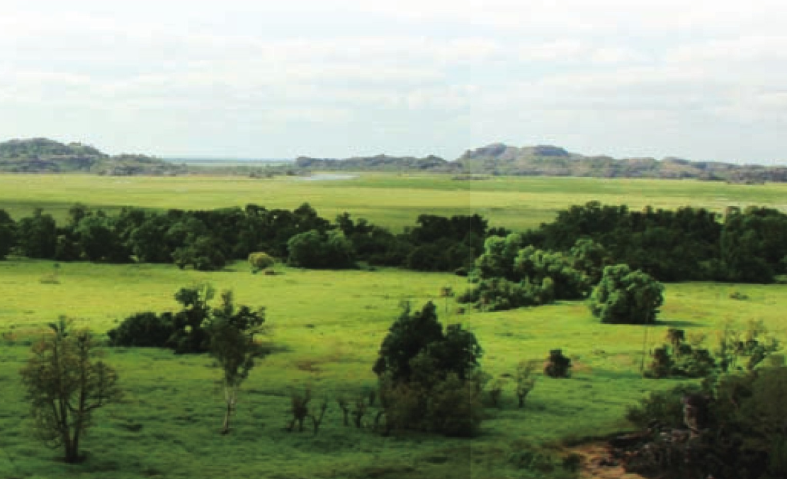 若尔盖大草原插图2 若尔盖大草原