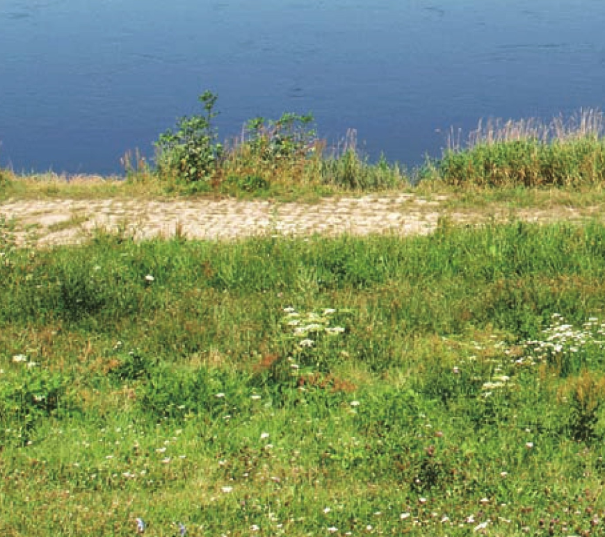 若尔盖大草原插图3 若尔盖大草原