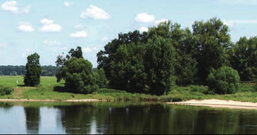 若尔盖大草原插图4 若尔盖大草原