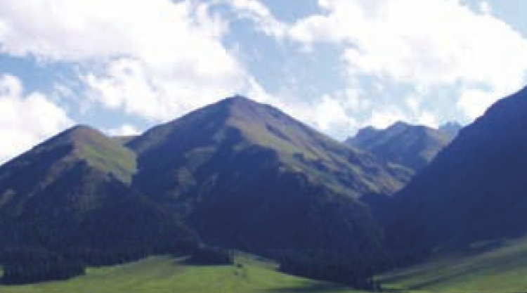 伊犁草原插图1 伊犁草原