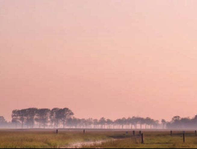 伊犁草原插图3 伊犁草原