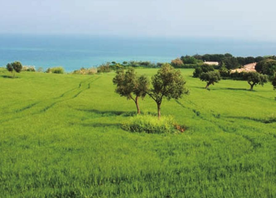 丰宁坝上草原插图1 丰宁坝上草原