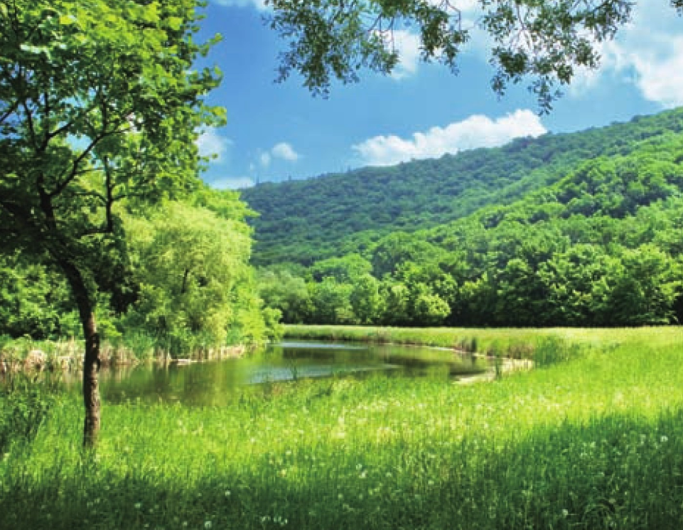 科尔沁草原插图2 科尔沁草原